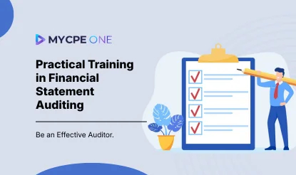 Certified Financial Statement Auditor