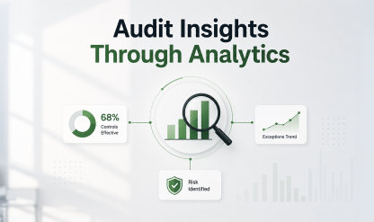Data-Driven Decision-Making for Auditors