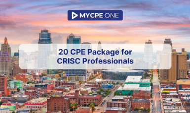 20 CPE Package for CRISC Professionals