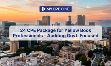 24 CPE Package for Yellow Book Professionals - Auditing Govt. Focused