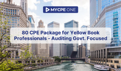 80 CPE Package for Yellow Book Professionals - Auditing Govt. Focused