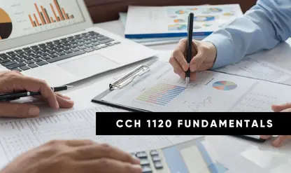 C Corporation Fundamentals and Entity Selection