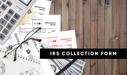 IRS Financial Analysis & Instalment Plans