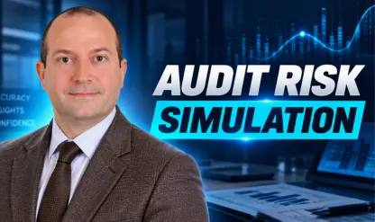 Statistical Simulation for Audit Risk Assessment