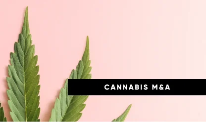 Future Trends in Cannabis Business