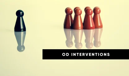 Organization Development Strategies