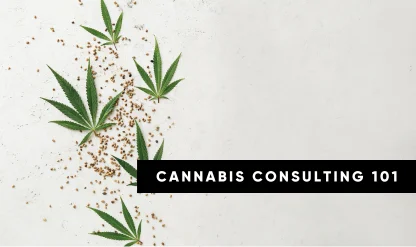 Cannabis Consulting