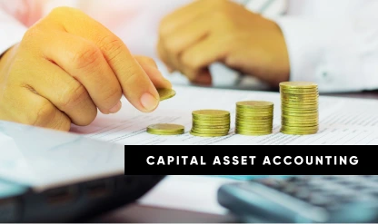 Canadian Public Sector Capital Asset Accounting