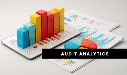 Audit Analytics & Financial Visualization