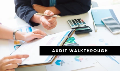 Internal Controls & Risk Detection Audit Guide
