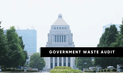 Auditing for Waste in a Government Entity