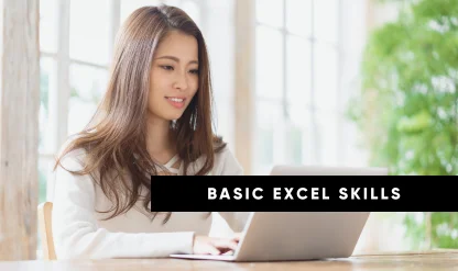 Basic Excel Skills For Professionals