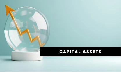 Capital Assets Basis and Tax Strategies for Professionals