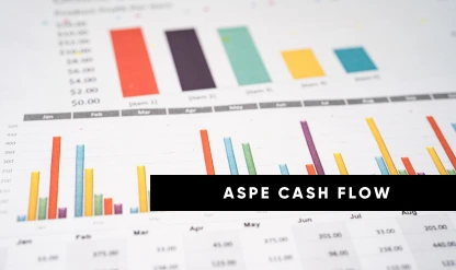 Cash Flow Statement