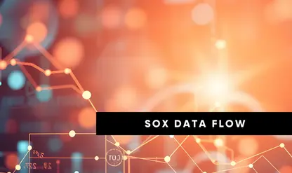 Data Flows and Interfaces in SOX Audits