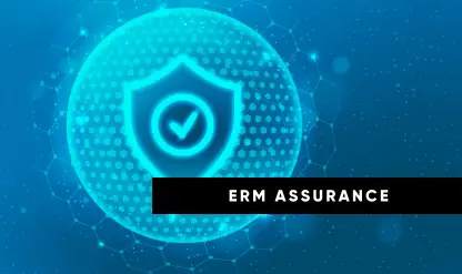 ERM Risk Appetite and Audit Framework