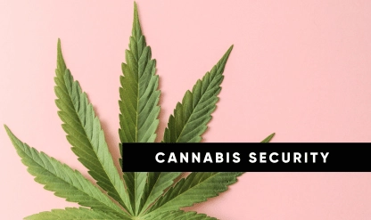 Emerging Trends in Cannabis Security: Navigating Technological Advancements and Regulatory Shifts