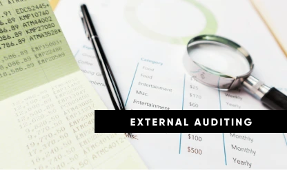 External Auditing Standards and Best Practices Update