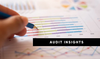 Facing an Audit and understanding the Best Practices