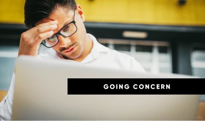 Going Concern Standards for Canadian Entities