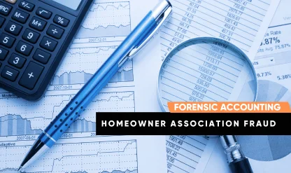 Forensic Accounting Selfstudy Course