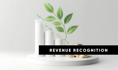 Revenue Recognition Audits