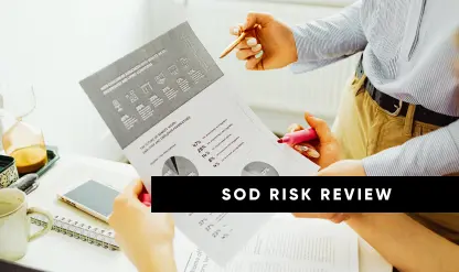 Risk-Based Segregation of Duties Reviews