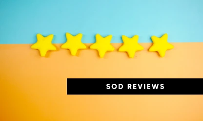 Segregation of Duties