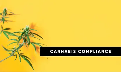 CFO Strategies for Thriving in the Cannabis Industry